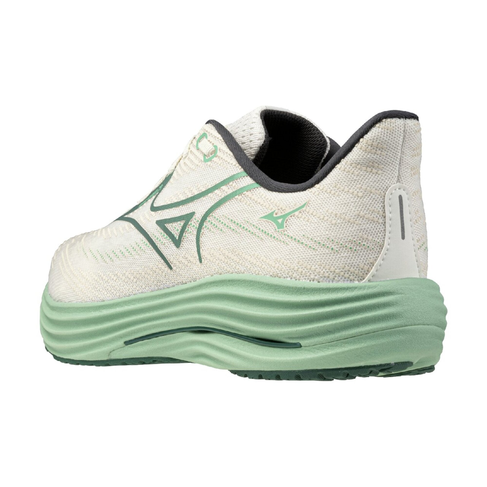 WAVE RIDER 29 2E – Mizuno Singapore