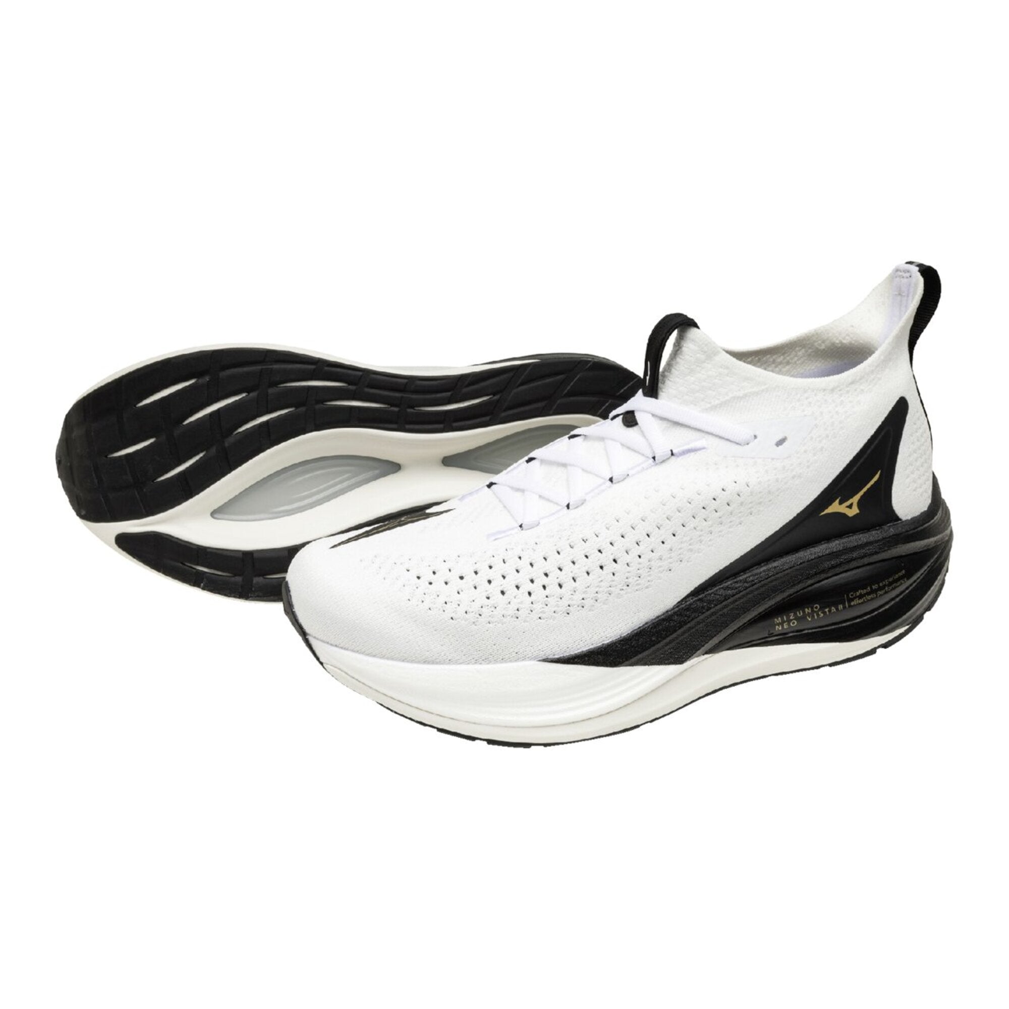 MIZUNO NEO VISTA 2 – Mizuno Singapore