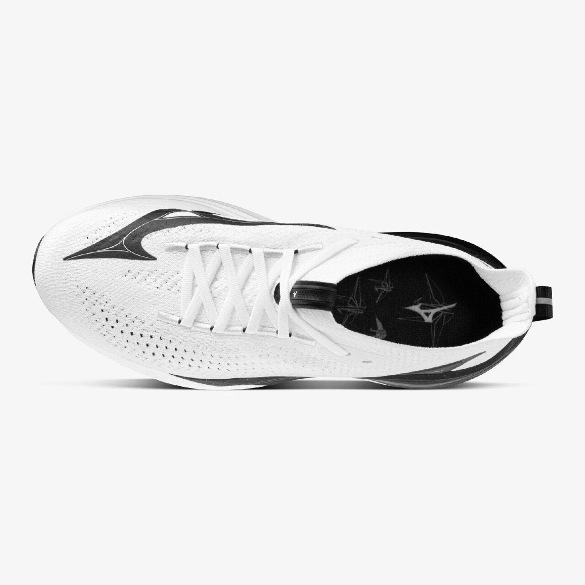 MIZUNO NEO VISTA 2 – Mizuno Singapore