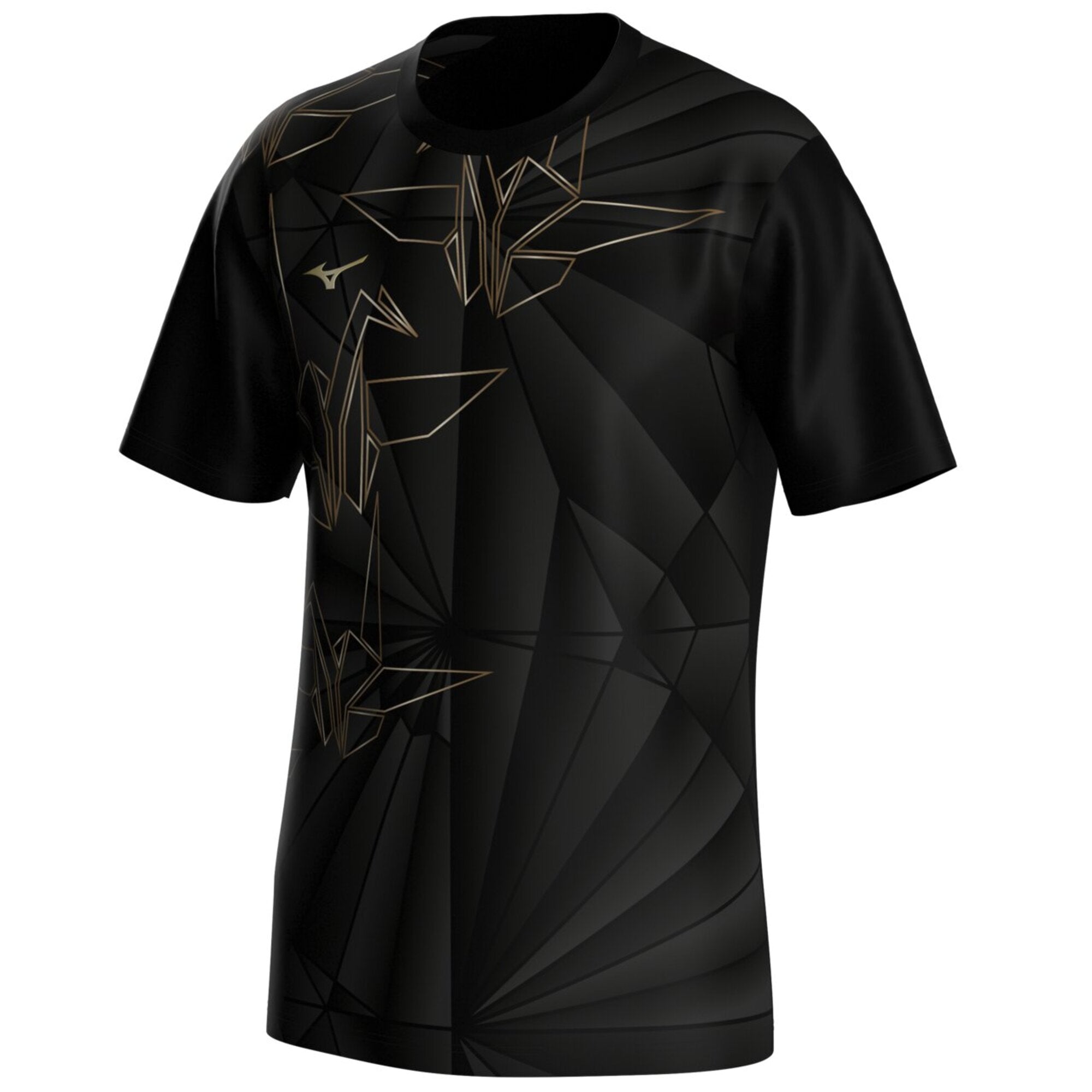 ACTIVE DRYAEROFLOW GRAPHIC SHORT SLEEVE TEE – Mizuno Singapore
