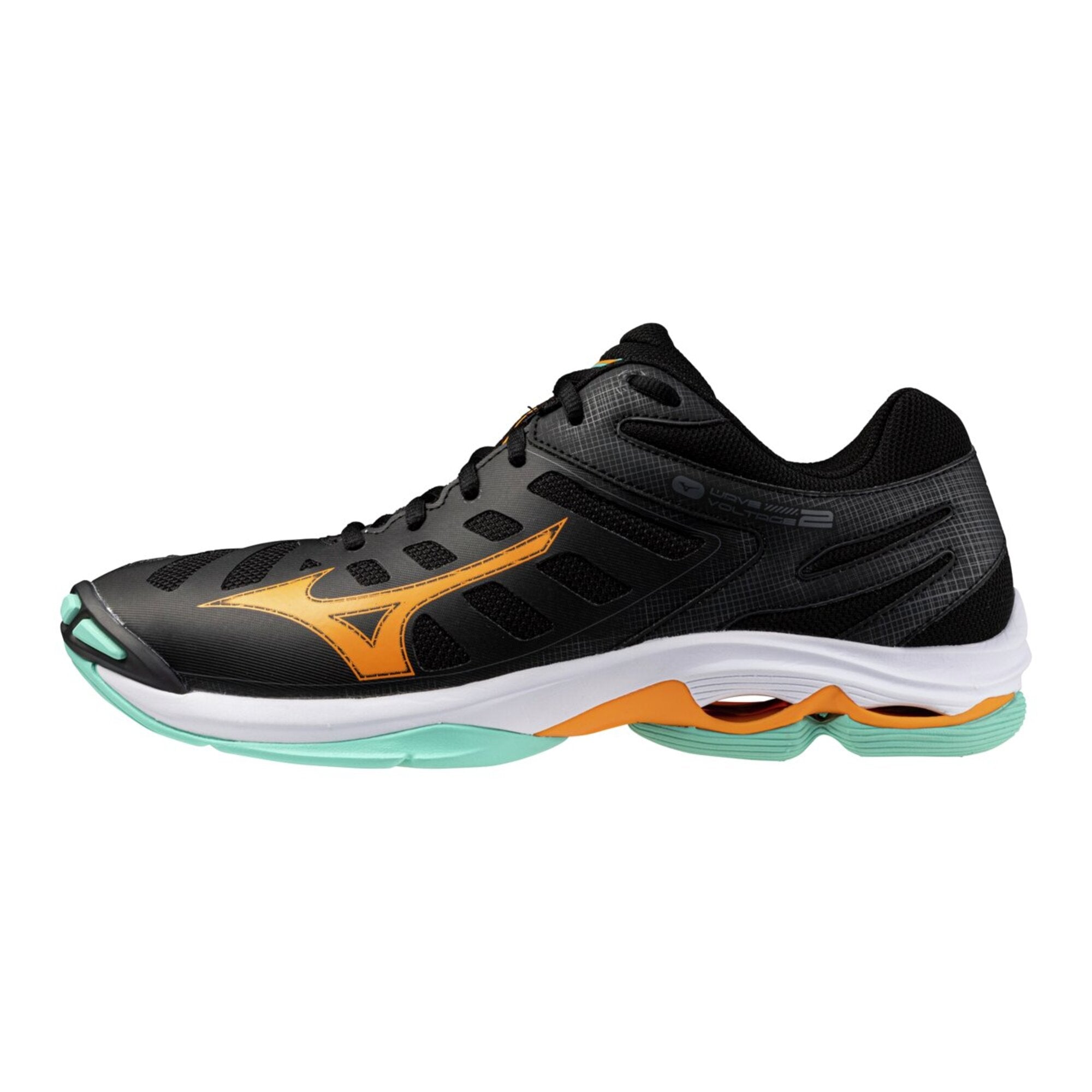 3/15着new! シンガポール52cmCONCORD1/125Big! Mizuno Monarcida Neo 3